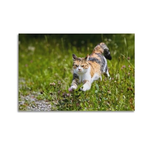 HAYZE Tierposter Laufende dreifarbige Katze, dekorative Leinwand, Wand- und Kunstposter, Malerei, 50 x 75 cm HAYZE Tierposter Laufende dreifarbige Katze, dekorative Leinwand, Wand- und Kunstposter, Malerei, 50 x 75 cm von HAYZE