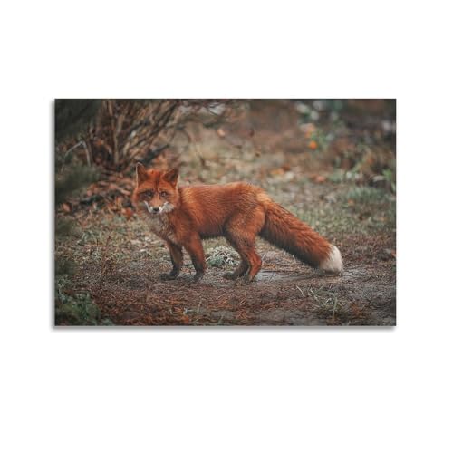 HAYZE Tierposter Roter Fuchs, dekoratives Leinwandbild für Wand und Kunst, 30 x 45 cm von HAYZE