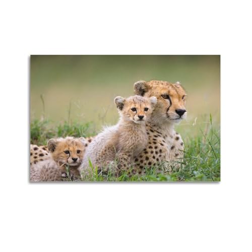 HAYZE Tierposter Südafrikanischer Gepard und sein Baby, dekorative Leinwand, Wand- und Kunstposter, Gemälde, 60 x 90 cm von HAYZE