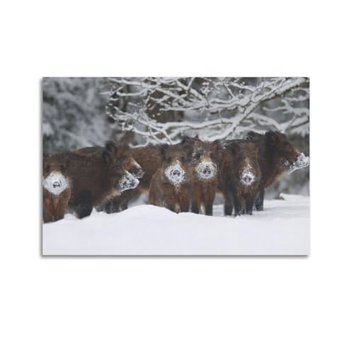 Tierposter Herde von Wildschweinen im Schnee, dekorative Leinwand, Wand- und Kunstposter, 60 x 90 cm Tierposter Herde von Wildschweinen im Schnee, dekorative Leinwand, Wand- und Kunstposter, 60 x 90 cm von HAYZE