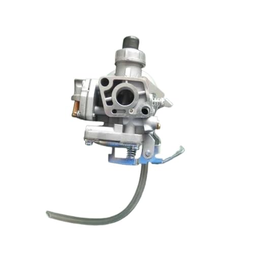 B45 VERGASER A021002520 PASSEND for B45LA B45INT C270 T270 PB270 A021-002360 Duster CG45 E45 70170-81020(Type A B45 CARB) von HAZIEC