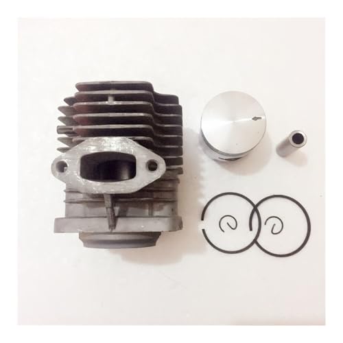 Fit for 1E40FP-3Z 40MM Zylinder KOLBEN KIT 40MM 40F-3 3WF-3A 2,6 EB-415 Nebel-Duster GEBLÄSE Sprayer Zylinder Ring PIN Clips Assy von HAZIEC