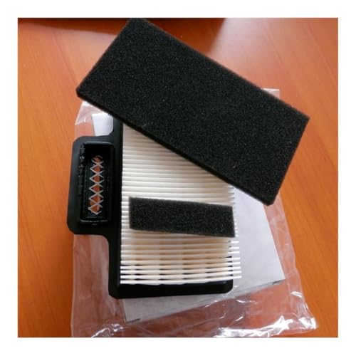 HAZIEC BS50-2i LUFTFILTER Passend for BS60-2i BS70-2i BS60-4S WICHTIGSTEN Reiniger VORFILTERELEMENT Montage(AIR Filter Combo) von HAZIEC