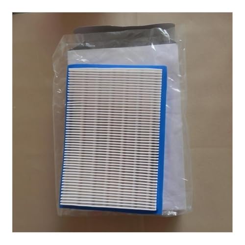 HAZIEC LUFTFILTER PASSEND for 90700 91700 95700 96700 110700 111700 112700 Reiniger VORFILTER 395027 397795 399039(1 x Main Filter) von HAZIEC