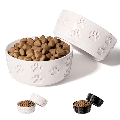 Keramik-Hundenapf-Set mit Anti-Rutsch-Ringen – 12,7 cm rund x 5,1 cm hoch, Set mit 2 Keramik-Hundenäpfen für kleine Hunde – kleine Hundenäpfe – Hundefutter und Wassernapf – weiße Hundenäpfe – Keramik-Hundenapf-Set mit Anti-Rutsch-Ringen – 12,7 cm rund x 5,1 cm hoch, Set mit 2 Keramik-Hundenäpfen für kleine Hunde – kleine Hundenäpfe – Hundefutter und Wassernapf – weiße Hundenäpfe – von HB Design Co.