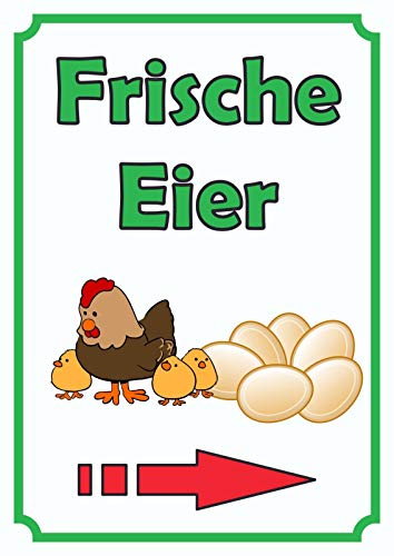 Verkaufsschild Schild EierHochkant mit Pfeil rechts A2 (420x594mm) von HB-Druck