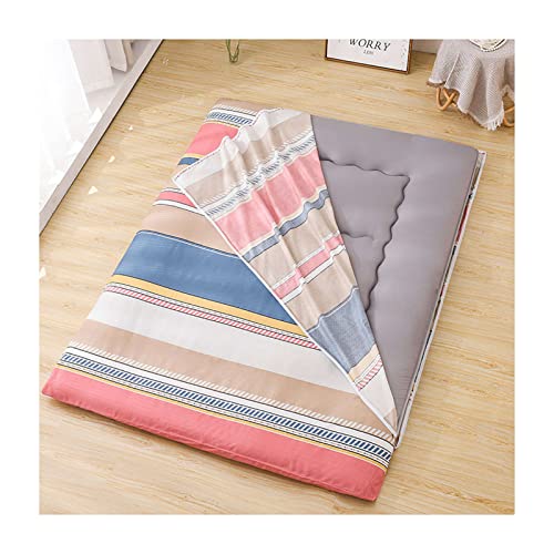 Boden Futon Matratze, Japanischer Tatami-Boden-Futon-Matratzen-Staubschutz 100% Baumwolle mit Reißverschluss, mehrere Größen(C,150 * 200cm) von HBALDTEDC