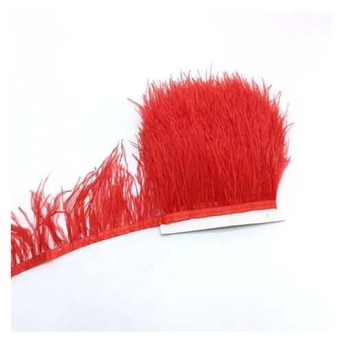 Craft Bunte Federn, Bastelfederbesatz, 1 Yard, mehrfarbig, for Aufnähen auf Kleidung, Hochzeitskleid, DIY-Dekoration(Red) von HBALDTEDC