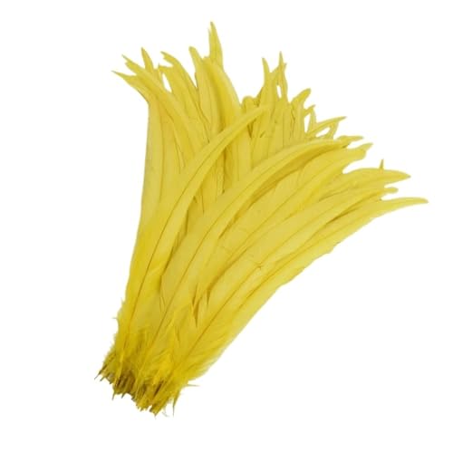 Craft Bunte Federn, Bastelfedern, 100 Stück, mehrfarbig, 25,4–30,5 cm(Yellow) von HBALDTEDC