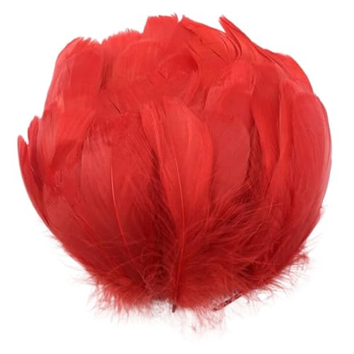 Craft Bunte Federn, Bastelfedern, 100 Stück, mehrfarbige Gänsefedern, 8–12 cm, 3,15–4,72 Zoll, for selbstgemachte Hochzeitsdekorationen(Red) von HBALDTEDC
