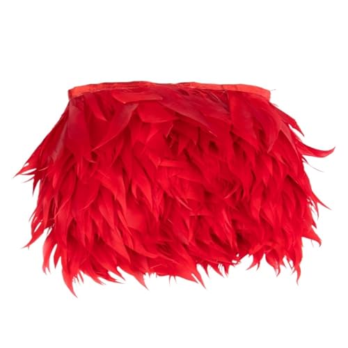Craft Bunte Federn, Bastelfedern Multicolor 1 Meter(Red) von HBALDTEDC