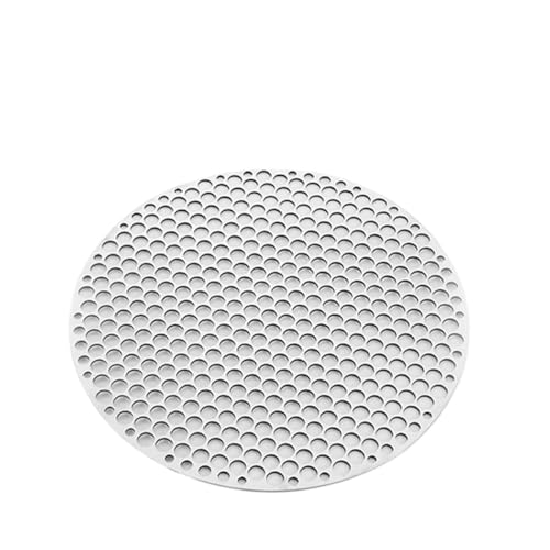 Grill Netz Rack Korb Barbecue， Edelstahl rund BBQ Grill Mesh Silber mehrere Größen(26cm) von HBALDTEDC