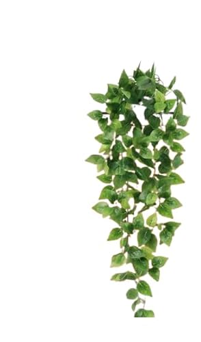 Künstliche Hängepflanzen, 1 Packung künstliche Hängepflanzen, Eukalyptus, Mandala, Efeu, Reben, Erbsenschote, 80 cm, Dekoration for drinnen und draußen von HBALDTEDC