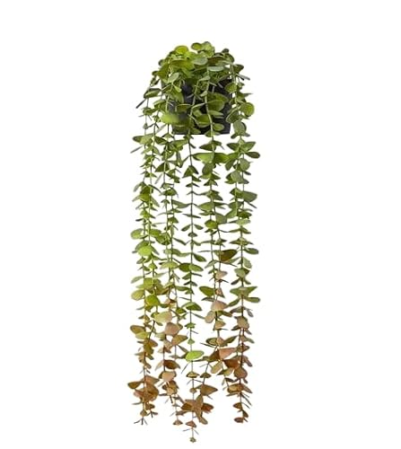 Künstliche Hängepflanzen, Künstliche Eukalyptus-Hängepflanzen, 2er-Pack mit 3,5 x 3,1 Zoll Topf und 22 Zoll Länge von HBALDTEDC