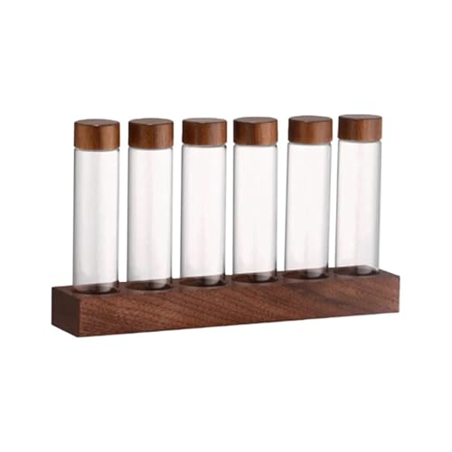 Leeres Glas Klar Reagenzglas, Reagenzgläser aus Glas, Barista-Werkzeuge mit Holzständer, 10er-Pack oder 6er-Pack mit Trichter Leeres Glas Klar Reagenzglas, Reagenzgläser aus Glas, Barista-Werkzeuge mit Holzständer, 10er-Pack oder 6er-Pack mit Trichter von HBALDTEDC