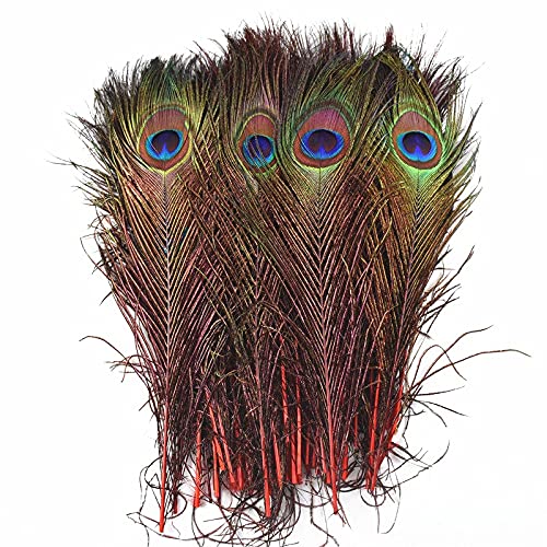 Pfau Schwert Federn, 10 Stück mehrfarbige Pfauenfedern, 25–32 cm, for DIY-Bastelarbeiten, Schmuckdekoration(Red 2) von HBALDTEDC