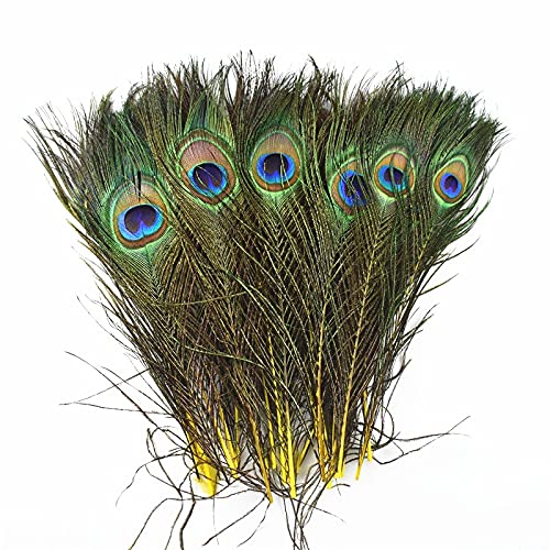 Pfau Schwert Federn, 10 Stück mehrfarbige Pfauenfedern, 25–32 cm, for DIY-Bastelarbeiten, Schmuckdekoration(Yellow 2) von HBALDTEDC