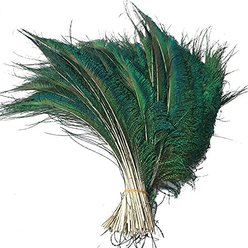 Pfau Schwert Federn, 30 Stück Pfauenschwertfedern for Basteln Natur 30-35cm von HBALDTEDC