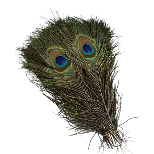 Pfau Schwert Federn, 50 Stück mehrfarbige Pfauenfedern for Basteln, mehrere Größen(25-30cm 10-12inch) von HBALDTEDC