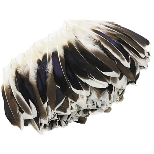 Pfau Schwert Federn, DIY Handwerk Dekoration Pfau Straußen Fasan Federn Pack Von 20-100 Stück Multicolor Pfau Schwert Federn, DIY Handwerk Dekoration Pfau Straußen Fasan Federn Pack Von 20-100 Stück Multicolor von HBALDTEDC