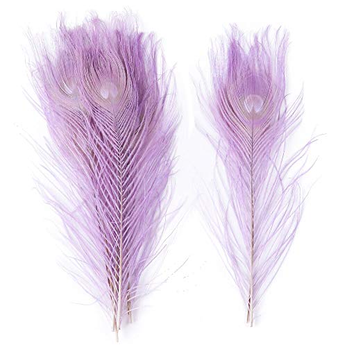 Pfau Schwert Federn, Natürliche Pfauenfedern, mehrfarbig, 25–30 cm, 10er- oder 20er-Pack(Light Purple,20PCS) von HBALDTEDC