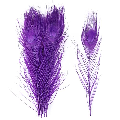 Pfau Schwert Federn, Natürliche Pfauenfedern, mehrfarbig, 25–30 cm, 10er- oder 20er-Pack(Purple,10PCS) von HBALDTEDC