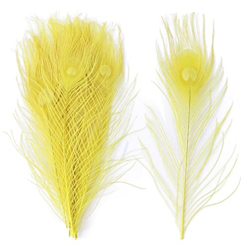 Pfau Schwert Federn, Natürliche Pfauenfedern, mehrfarbig, 25–30 cm, 10er- oder 20er-Pack(Yellow,10PCS) von HBALDTEDC