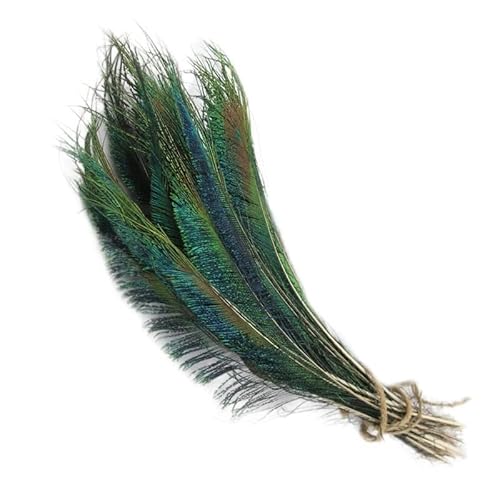 Pfau Schwert Federn, Packung mit 20 Stück mehrfarbigen Pfauenfedern for DIY-Schmuck, Basteln, Hochzeitsdekoration.(Black) von HBALDTEDC