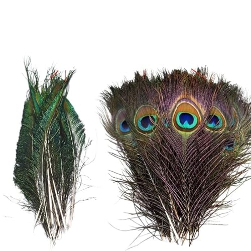 Pfau Schwert Federn, Packung mit 20 Stück mehrfarbigen Pfauenfedern for DIY-Schmuck, Basteln, Hochzeitsdekoration.(Yellow) von HBALDTEDC