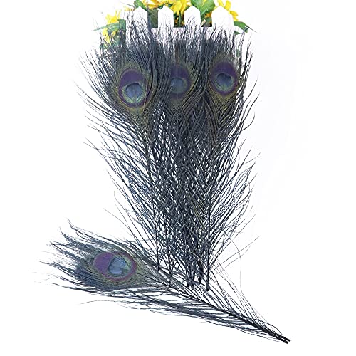 Pfau Schwert Federn, Pfauenfedern, mehrfarbig, 25,4–30,5 cm, 10 Stück, for Schmuckherstellung, DIY, Basteln, Dekor(Black) von HBALDTEDC