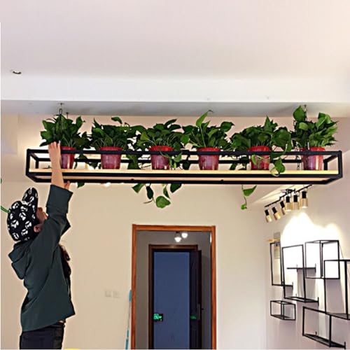 Schwebende Decke Weinglasregal Regal， Pflanzen- und Weinregal zur Wand- und Deckenmontage, verschiedene Größen(60x25x15cm) von HBALDTEDC