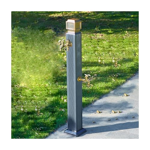 HBOOMOEM AußEnwassersäUle Aus Edelstahl 304，Vertikale Gartenbrunnen Mit Doppeltem Wasserauslasshahn，Geeignet FüR BewäSserung, AutowäSche, Praktisch Zum GießEn.(Normal,F) von HBOOMOEM