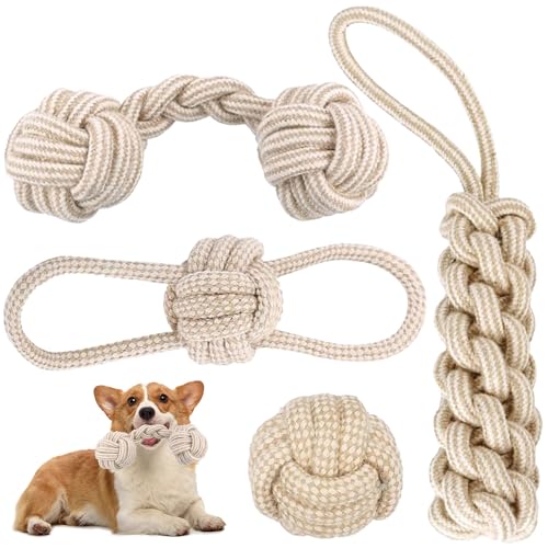 HBSFBH Hundespielzeug Seil mit Knoten Ball, 4 Stück Seil Hundespielzeug, Knoten Interaktives Spielzeug Hundeseil, Kauen Hundespielzeug Set, Welpenspielzeug für Zahngesundheit und Zahnreinigung HBSFBH Hundespielzeug Seil mit Knoten Ball, 4 Stück Seil Hundespielzeug, Knoten Interaktives Spielzeug Hundeseil, Kauen Hundespielzeug Set, Welpenspielzeug für Zahngesundheit und Zahnreinigung von HBSFBH
