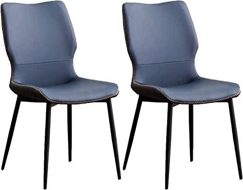 HBSSP Esszimmerstühle 2er-Set Esszimmerstühle Küche Mit Metallbeinen Beistellstuhl Aus Kunstleder(Blue) von HBSSP
