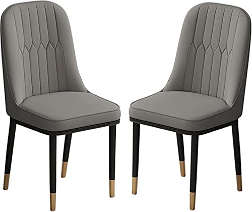 HBSSP Esszimmerstühle Im 2er-Set Gepolsterte Stühle Aus PU-Leder Und Metallbeine for Küche Esszimmer Schlafzimmer Wohnzimmer(Dark Gray) von HBSSP