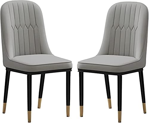 HBSSP Esszimmerstühle Im 2er-Set Gepolsterte Stühle Aus PU-Leder Und Metallbeine for Küche Esszimmer Schlafzimmer Wohnzimmer(Light Gray) von HBSSP