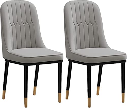 HBSSP Esszimmerstühle Küche 2er-Set Moderne PU-wasserdichte Lederstühle Mit Hoher Rückenlehne Gepolsterter Weicher Sitz Seitenstühle Mit Metallbeinen(Light Gray) von HBSSP