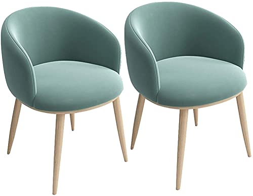 HBSSP Flanell Küchenstühle 2er-Set Wohnzimmer Wohnzimmer Ecke Esszimmerstühle Gepolstertes Kissen Und Metallbeine(Green) von HBSSP