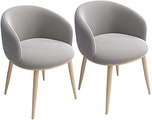 HBSSP Flanell Küchenstühle 2er-Set Wohnzimmer Wohnzimmer Ecke Esszimmerstühle Gepolstertes Kissen Und Metallbeine(Silver Gray) von HBSSP
