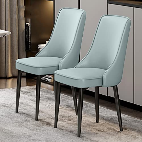 HBSSP Küche Esszimmerstühle 2er-Set, Wasserdichter PU-Leder-Loungesessel mit Füßen Aus Kohlenstoffstahl für Wohnzimmer Schlafzimmer Küche(D) von HBSSP