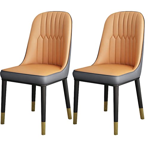 HBSSP Küche Esszimmerstühle 2er Set,Moderne PU-Leder Hochlehner Weicher Sitz Wohnzimmerstühle,Wasserdichter Leder Beistellstuhl Mit Metallbeinen(A) von HBSSP