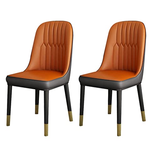HBSSP Küche Esszimmerstühle 2er Set,Moderne PU-Leder Hochlehner Weicher Sitz Wohnzimmerstühle,Wasserdichter Leder Beistellstuhl Mit Metallbeinen(E) von HBSSP