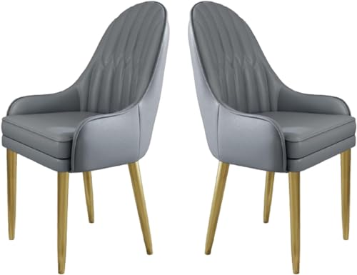 HBSSP Küchen Esszimmerstühle 2er-Set Moderne Mikrofaser-Leder Gepolsterte Esszimmerstühle mit Metallbeinen Und Ergonomischer Rückenlehne for Wohnzimmer Esszimmer Schlafzimmer(G) von HBSSP