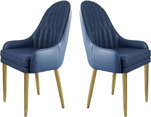 HBSSP Küchen Esszimmerstühle 2er-Set Moderne Mikrofaser-Leder Gepolsterte Esszimmerstühle mit Metallbeinen Und Ergonomischer Rückenlehne for Wohnzimmer Esszimmer Schlafzimmer(J) von HBSSP