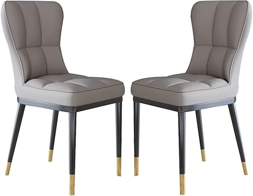 HBSSP Küchen-Esszimmerstühle 2er-Set Modernes PU-Leder Hohe Rückenlehne Gepolsterter Weicher Sitz Robust Metallbeine Hoteltheke Lässige Stühle(Beige Gray) von HBSSP