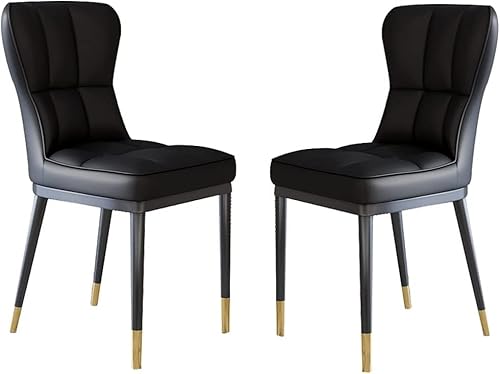HBSSP Küchen-Esszimmerstühle 2er-Set Modernes PU-Leder Hohe Rückenlehne Gepolsterter Weicher Sitz Robust Metallbeine Hoteltheke Lässige Stühle(Negro) von HBSSP