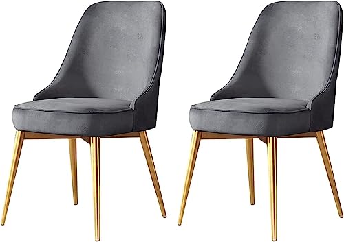 HBSSP Küchen Esszimmerstühle 2er-Set Wohnzimmerstuhl mit Goldenen Beinen Aus Samt for Apartment Balkon Schlafzimmer Wohnzimmer(Grey) von HBSSP