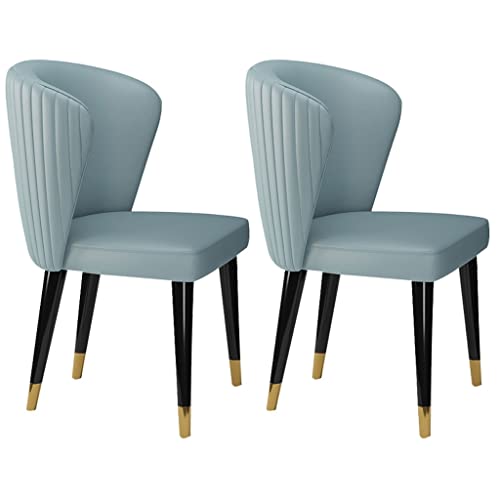 HBSSP Moderne Mikrofaser-Leder-Esszimmerstühle Im 2er-Set Lounge-Stühle Für Die Küche, Wohnzimmer Füße Aus Massivem Eschenholz, Empfangsstuhl(Light Blue) von HBSSP