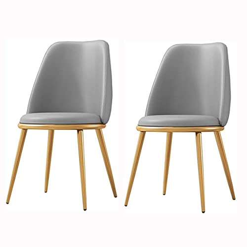 HBSSP Moderner Esszimmerstuhl 2er-Set Wasserdichter Lounge-Stuhl Aus PU-Leder mit Galvanisiertem Titan-Gold-Bein Küchen-Wohnzimmer-Thekenstühle(Grey) von HBSSP