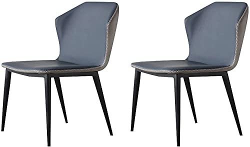 HBSSP Retro Küche Esszimmerstühle 2er Set PU Leder Rückenlehne Freizeit Stühle Stahlbeine rutschfeste Füße Heimküche Wohnzimmer Frühstück Kaffee Möbel(Grey Blue) von HBSSP